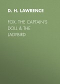 Fox, The Captain's Doll &amp; The Ladybird
