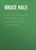 Chet Gecko, Private Eye, Book 1: The Chameleon Wore Chartreuse