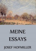 Meine Essays