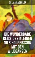 Die wunderbare Reise des kleinen Nils Holgersson mit den Wildgänsen