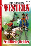 Die großen Western 179