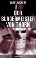 Der Bürgermeister von Thorn (Historischer Roman)