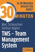30 Minuten TMS - Team Management System