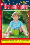 Heimatkinder 7 – Heimatroman