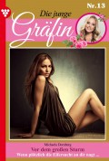 Die junge Gräfin 13 – Adelsroman