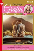 Die junge Gräfin 12 – Adelsroman