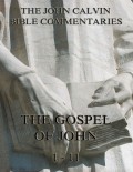 John Calvin's Commentaries On The Gospel Of John Vol. 1