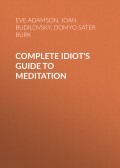 Complete Idiot's Guide to Meditation