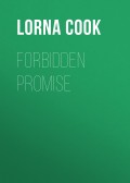 Forbidden Promise