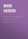 Curious Incident of the Dog in the Night-time