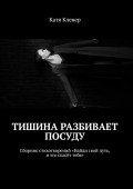 Тишина разбивает посуду. Сборник стихотворений «Найди свой путь, и это спасёт тебя»