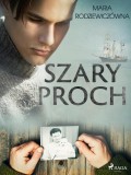 Szary proch