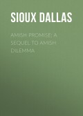 Amish Promise: A Sequel to Amish Dilemma