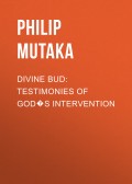 Divine Bud: Testimonies of God�s intervention