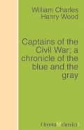 Captains of the Civil War; a chronicle of the blue and the gray