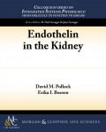 Endothelin in the Kidney