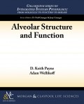 Alveolar Structure and Function