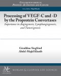 Processing of VEGF-C and -D by the Proprotein Convertases