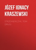 Strzemieńczyk, tom drugi