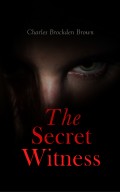 The Secret Witness 
