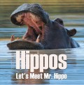 Hippos - Let's Meet Mr. Hippo