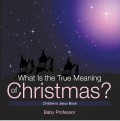 What Is the True Meaning of Christmas? | Children’s Jesus Book