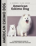 American Eskimo Dog