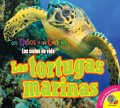 Las tortugas marinas