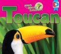 Animals of the Amazon Rainforest: Toucan