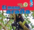 Animales de la Selva Amazónica — El mono araña