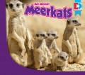 All About Meerkats