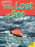 Being Lost at Sea