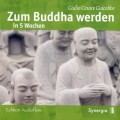 Zum Buddha werden in 5 Wochen, Episode 2