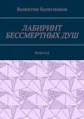 Лабиринт бессмертных душ. Новелла