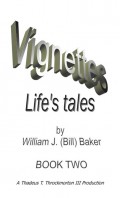 Vignettes - Life's Tales  Book Two