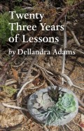 Twenty Three Years of Lessons