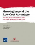 Growing Beyond the Low-Cost Advantage