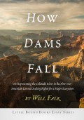 How Dams Fall
