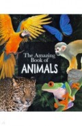 Amazing Book of Animals, the (PB)