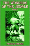 The Wonders of the Jungle, Book 2