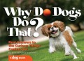Why Do Dogs Do That?