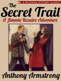 The Secret Trail (Jimmy Rezaire #2)