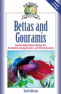 Bettas and Gouramis