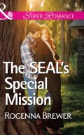 The SEAL's Special Mission