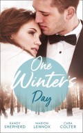 One Winter's Day: A Diamond in Her Stocking / Christmas Where They Belong / Snowed in at the Ranch