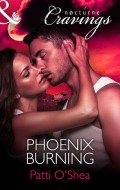 Phoenix Burning