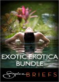 Exotic Erotica Bundle: Invite Me In / Tokyo Rendezvous / Soul Strangers