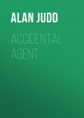 Accidental Agent