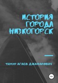 История города Низкогорск