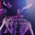 Fachowiec poszukiwany część 2 – opowiadanie erotyczne